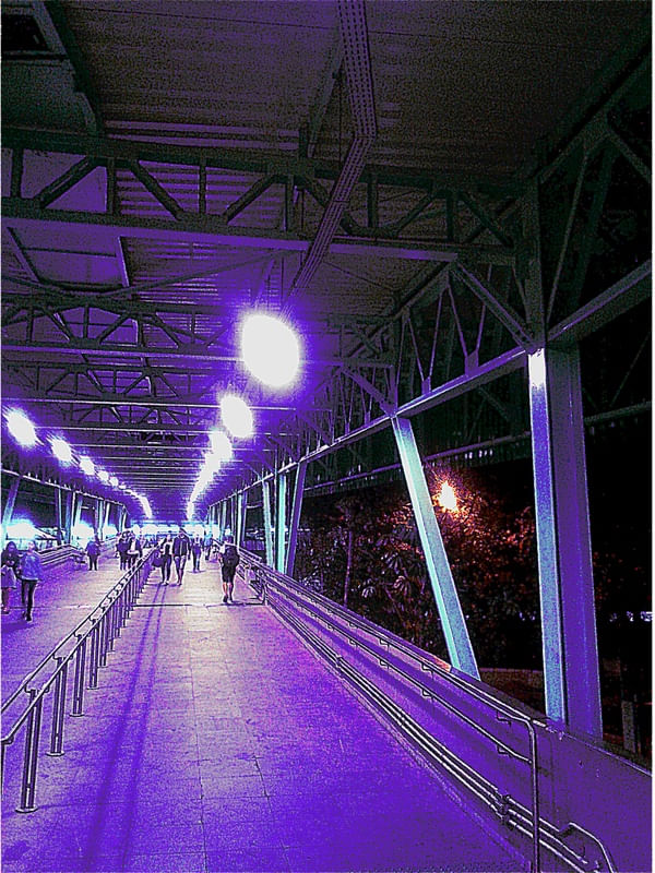 COTIDIANO SÃO PAULO