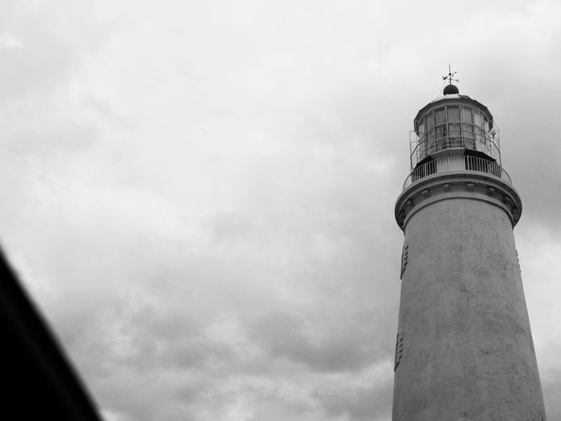 FAROL LA PALOMA