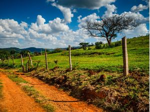 CAMINHO DA ROÇA