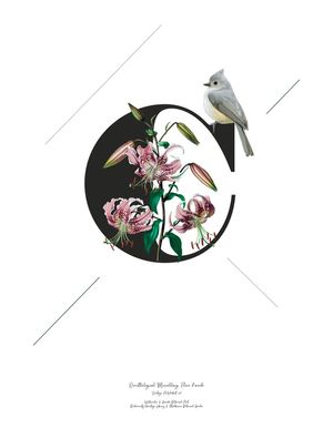 BOTANICAL ALPHABET C