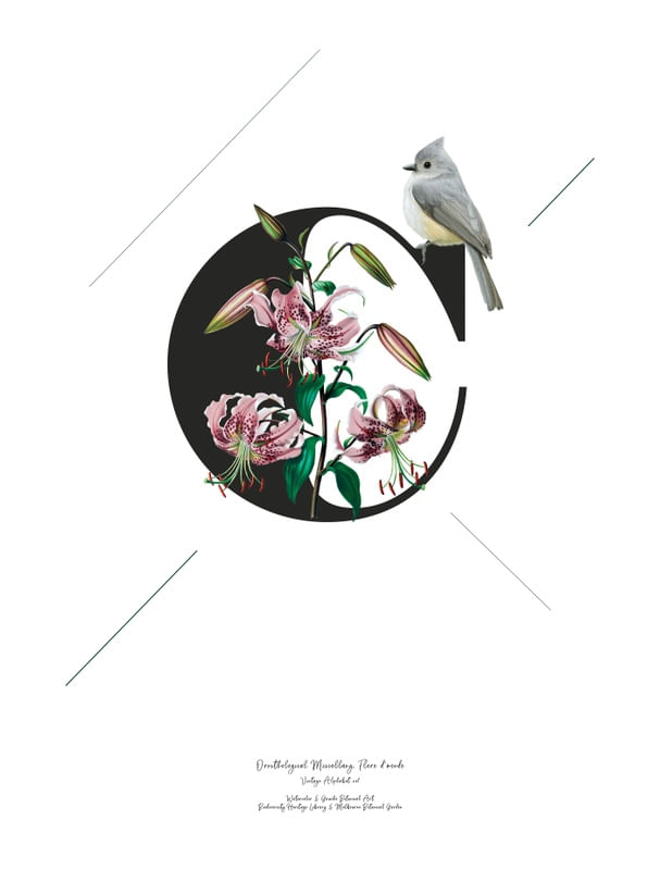 BOTANICAL ALPHABET C