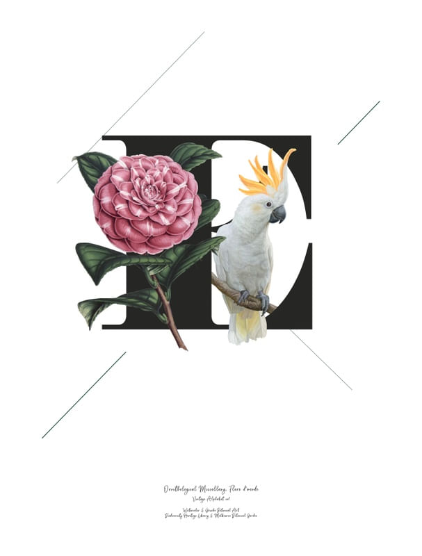 BOTANICAL ALPHABET E