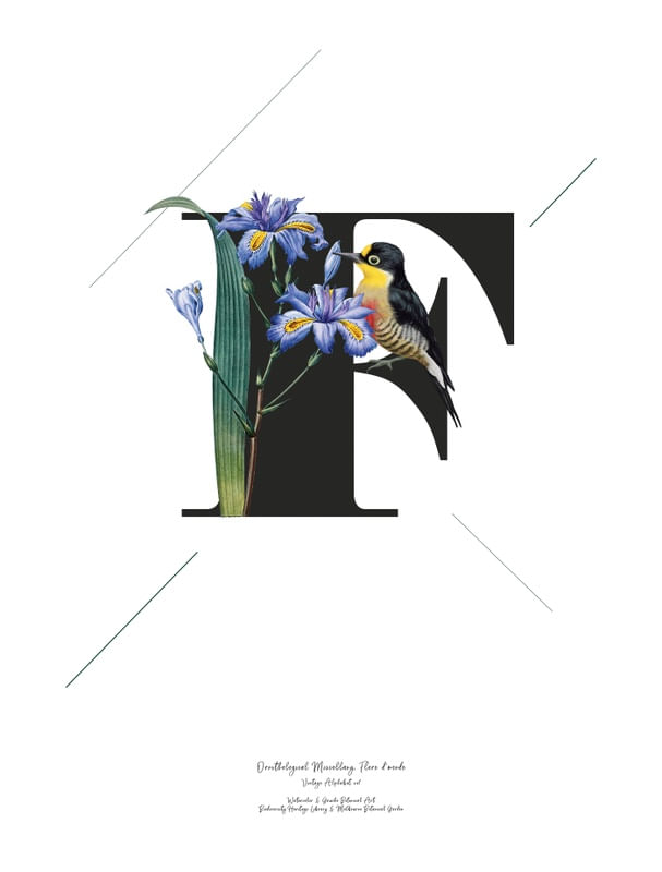 BOTANICAL ALPHABET F