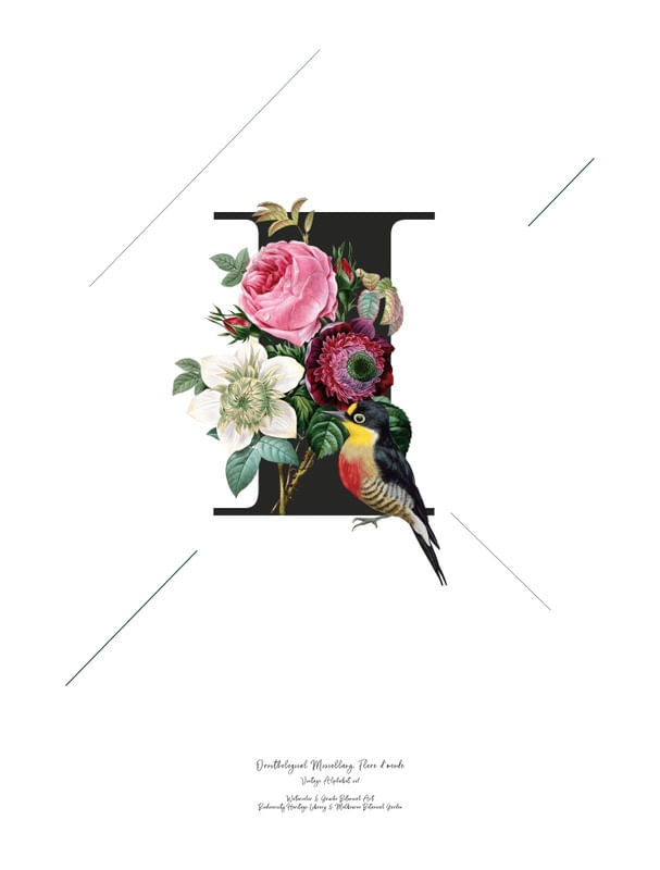 BOTANICAL ALPHABET I