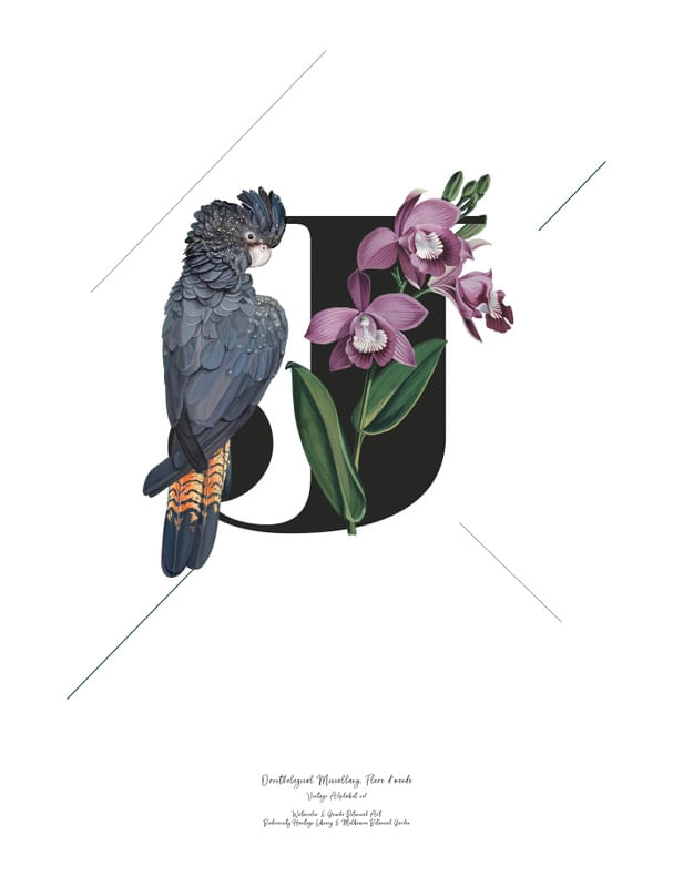 BOTANICAL ALPHABET J
