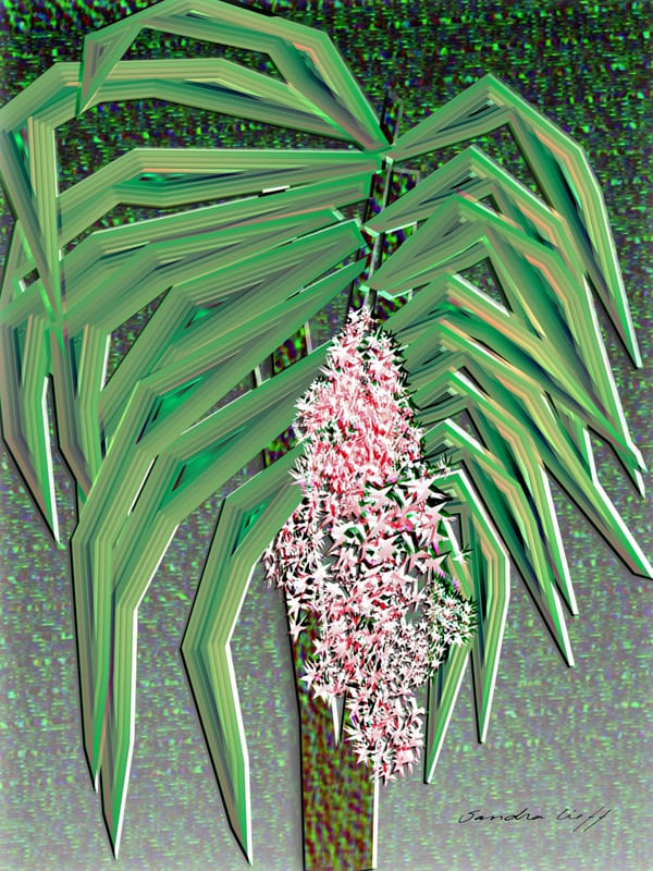 FLORADO
