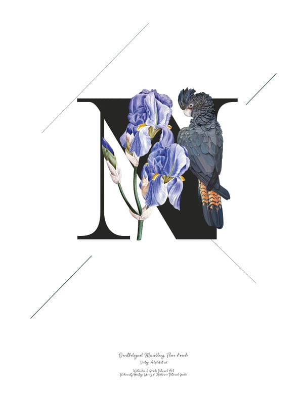BOTANICAL ALPHABET N