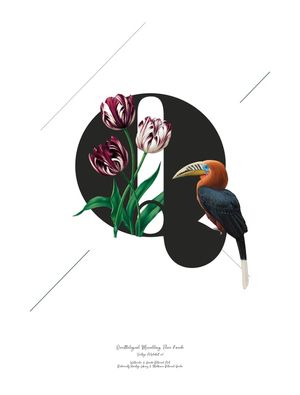 BOTANICAL ALPHABET Q