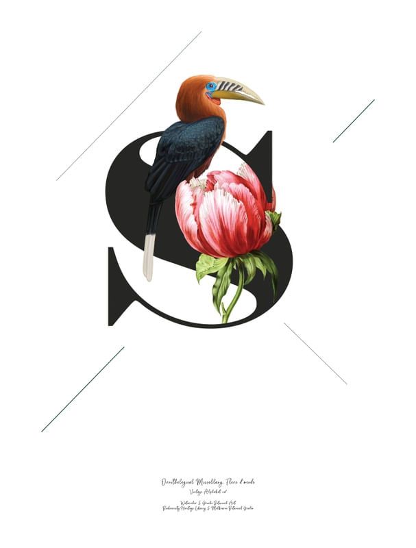 BOTANICAL ALPHABET S
