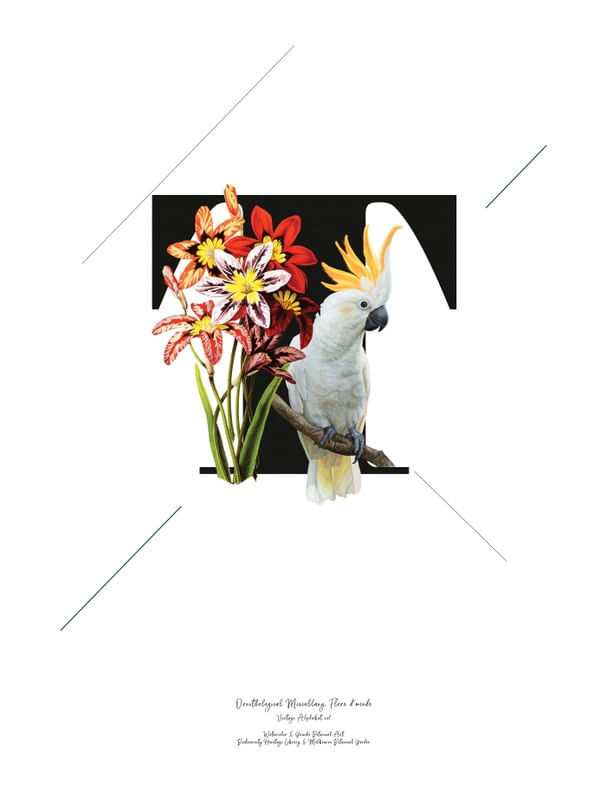 BOTANICAL ALPHABET T