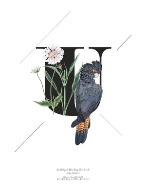 BOTANICAL ALPHABET U
