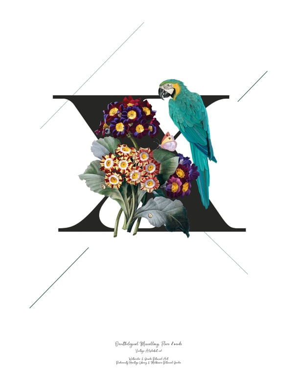 BOTANICAL ALPHABET X