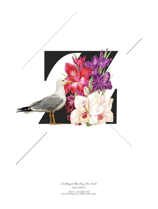 BOTANICAL ALPHABET Z