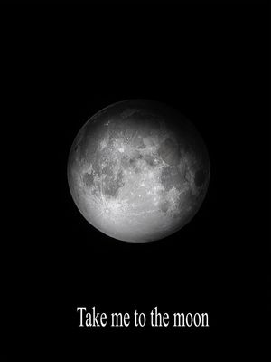TAKE ME TO THE MOON