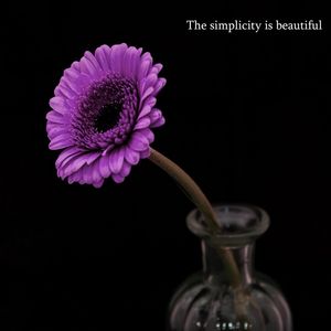 FLOR DA SIMPLICIDADE