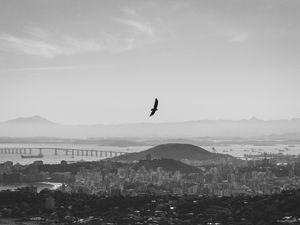 VOANDO PELA CIDADE