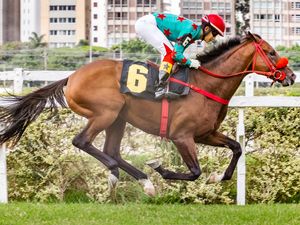 CIDADE-SAO PAULO JOCKEY CLUB