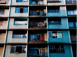 SAO PAULO MINHOCAO