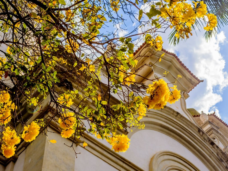 CIDADE - BELO HORIZONTE IGREJA SANTA TEREZA COM IP