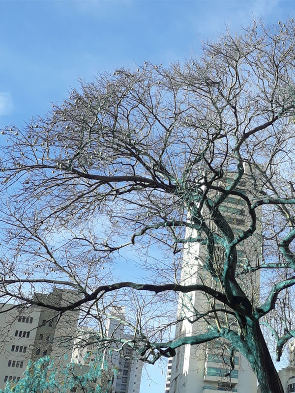 CIDADE-GOIANIA-PAINEIRA A