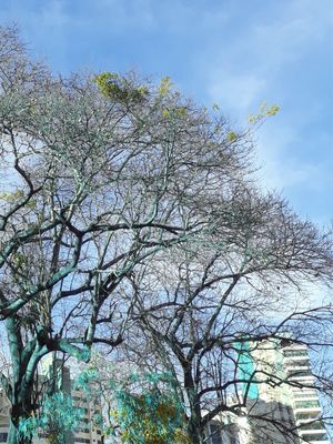 CIDADE-GOIANIA-PAINEIRA B
