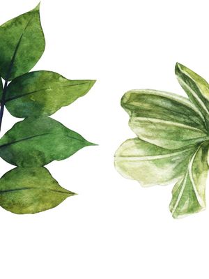 MINIMALISTA FLORAIS