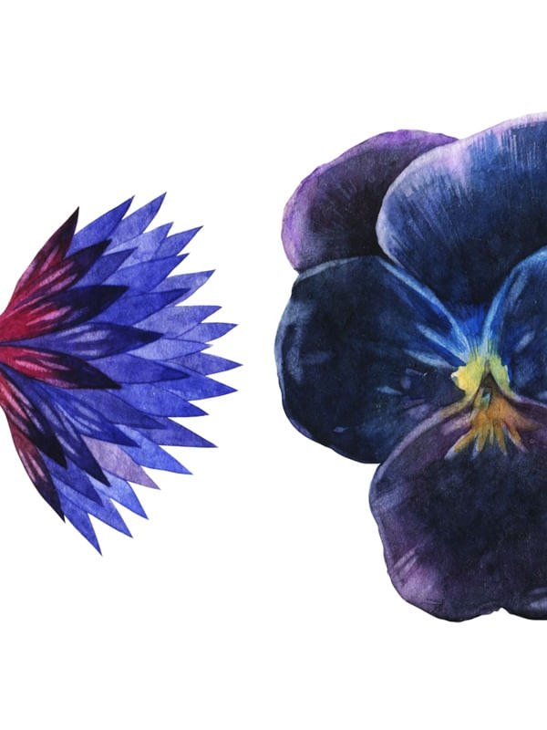 MINIMALISTA FROSAS