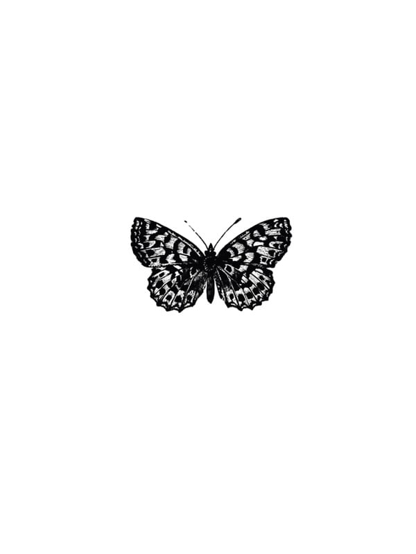 MINIMALISTA BORBOLETA 3