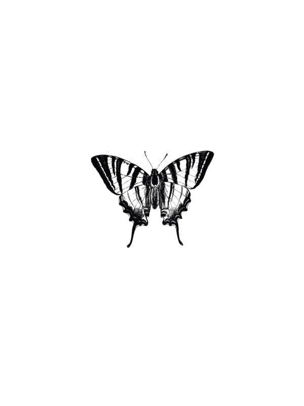 MINIMALISTA BORBOLETA 2