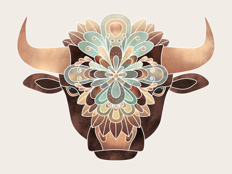 FLOWER BULL 1