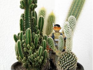 PEQUENINOS CAMUFLADOS (HIDDEN TOY SOLDIERS) 1