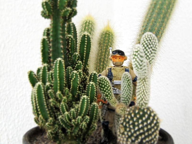 PEQUENINOS CAMUFLADOS (HIDDEN TOY SOLDIERS) 1