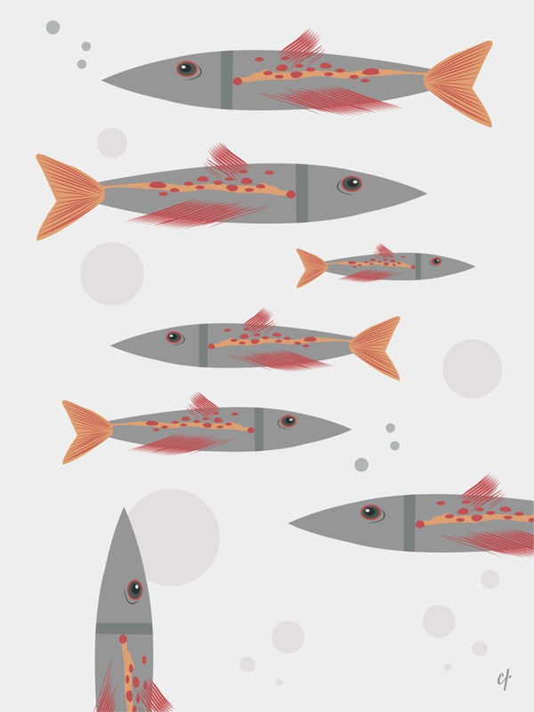 PEIXES MAGROS