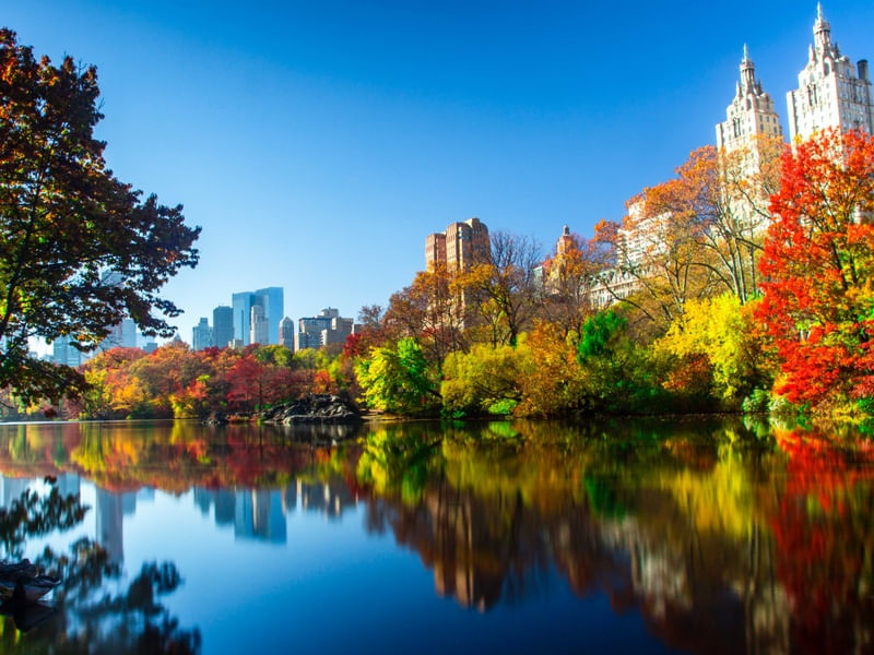 REFLEXO NO CENTRAL PARK
