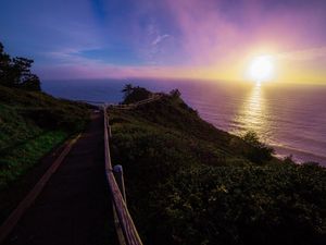 POR DO SOL EM MUIR WOODS