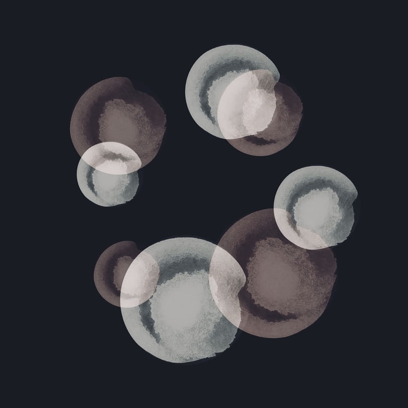 ÓVULOS 3