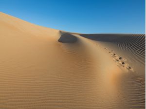 DUNAS COSTA BRANCA