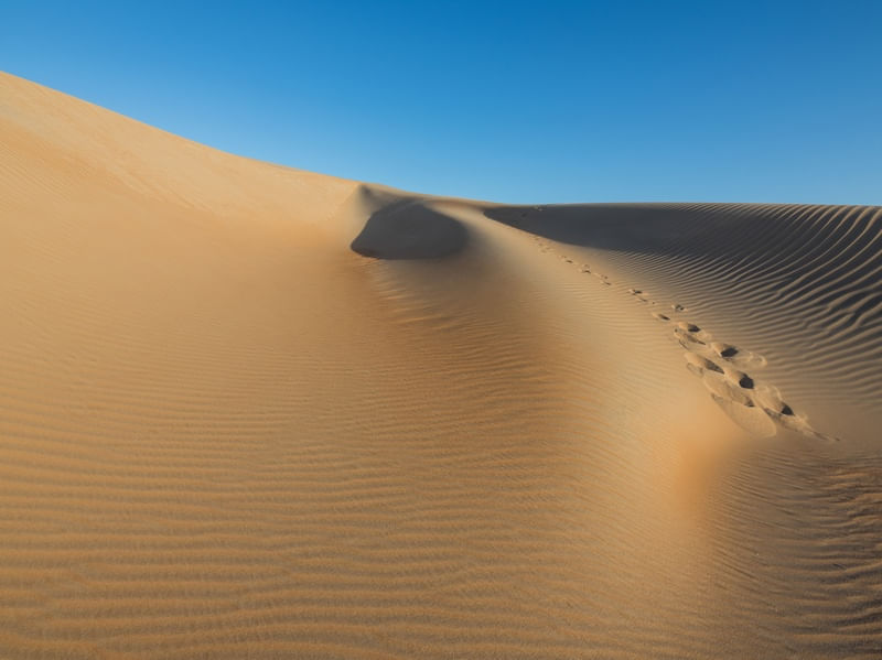 DUNAS COSTA BRANCA
