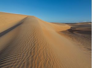 DUNAS PORTO DO MANGUE