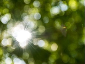 BOKEH E FLARE (P)