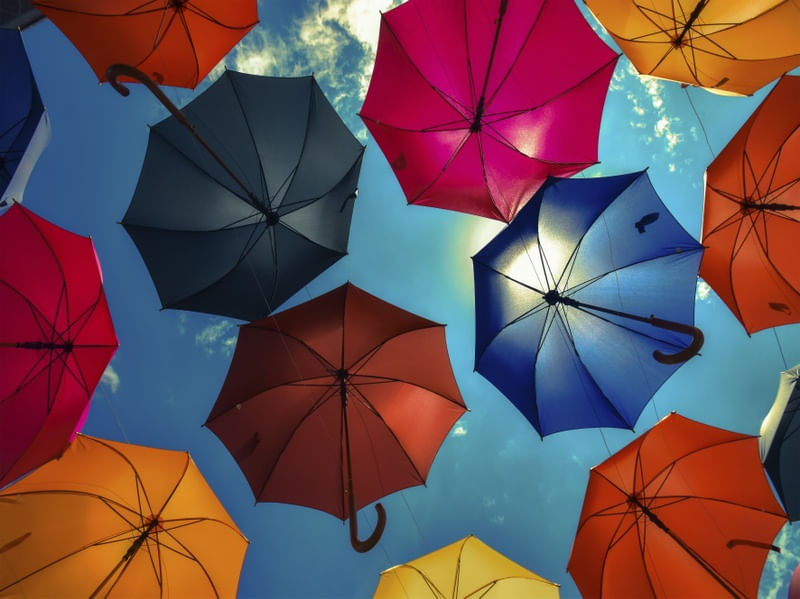 UMBRELLA_01