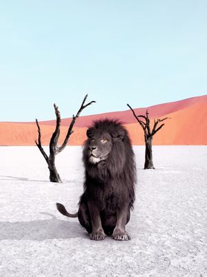 NAMIBIA