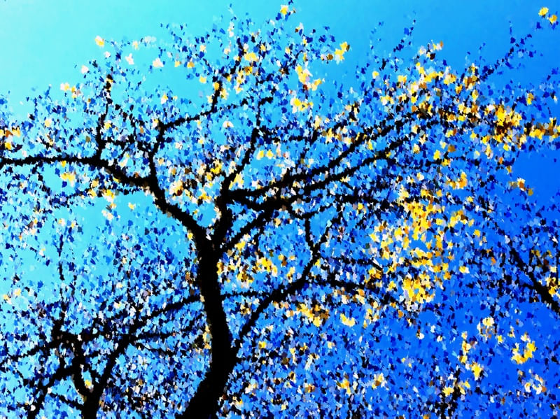 AMARILLO & AZUL