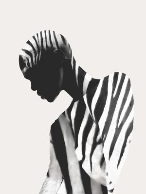 ZEBRA/1