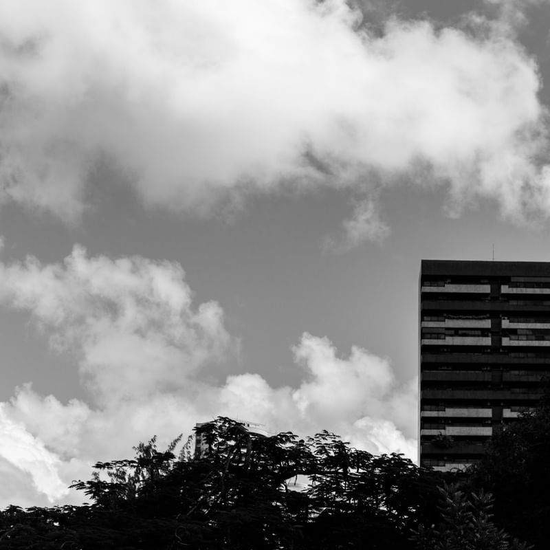 ENTRE BRANCOS, VERDES, CINZAS E PRETOS