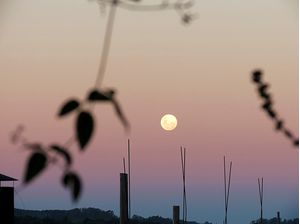 PAISAGEM COM LUA 1
