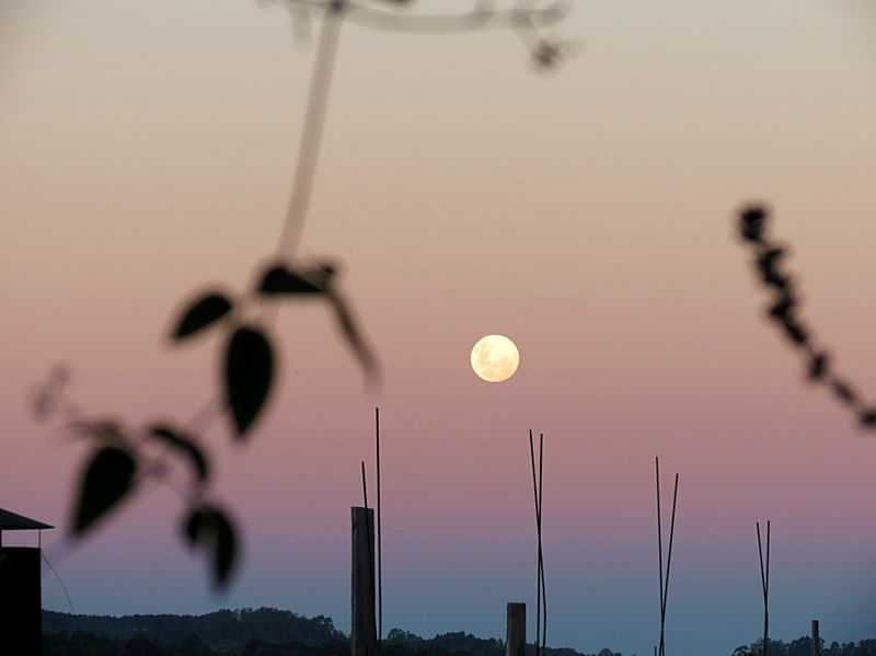 PAISAGEM COM LUA 1