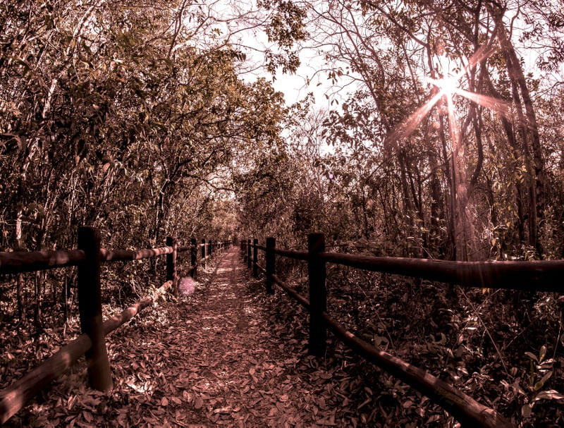 TRILHA DA CAPIVARA E SOL - BRASÍLIA