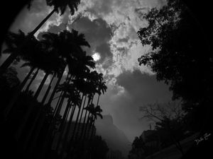 CRISTO A PARTIR DO JARDIM BOTÂNICO RJ