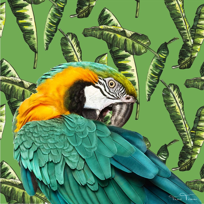 ARARA TROPICAL FLORAL 4